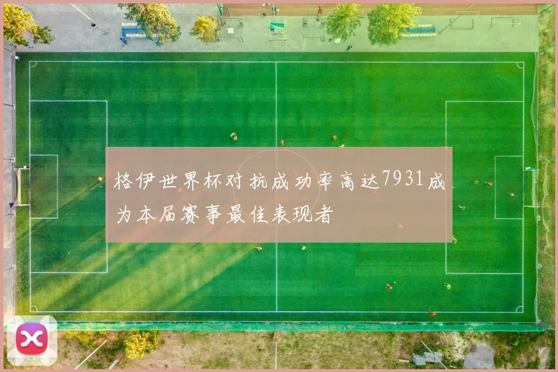 格伊世界杯对抗成功率高达7931成为本届赛事最佳表现者